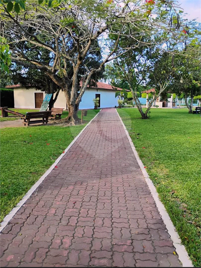 Foto REO1118089
