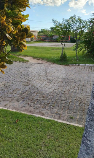Foto REO1118089