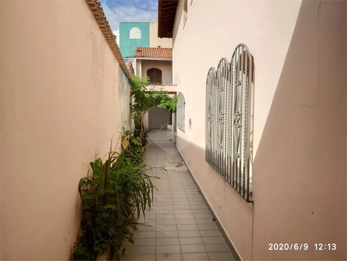 Foto REO1118099