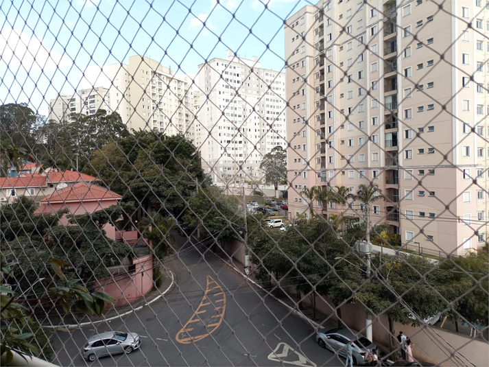 Foto REO1118162