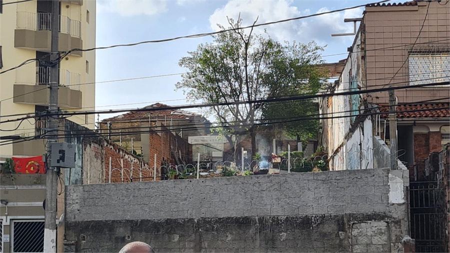 Foto REO1118165
