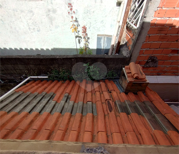 Foto REO1118170