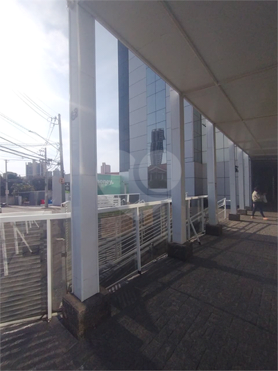 Foto REO1118177
