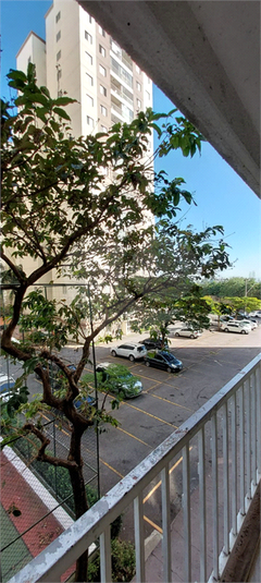 Foto REO1118188