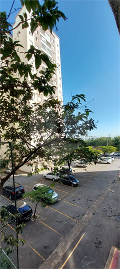 Foto REO1118188
