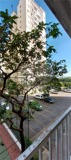 Foto REO1118188