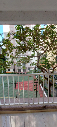 Foto REO1118188