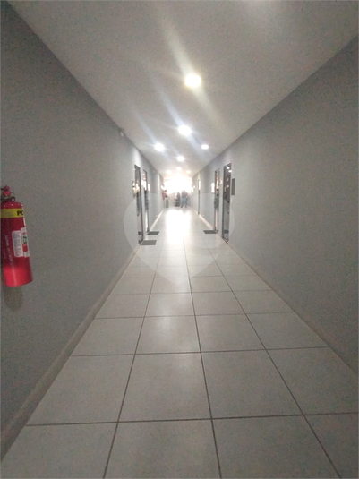 Foto REO1118190