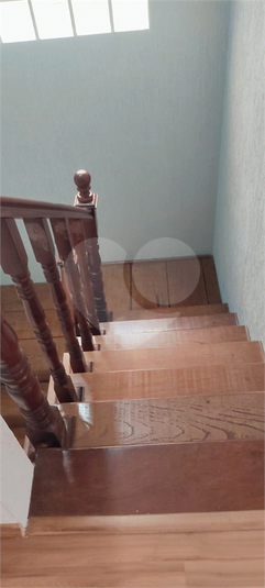 Foto REO1118210