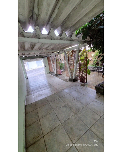 Foto REO1118221