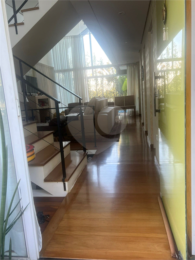 Foto REO1118225