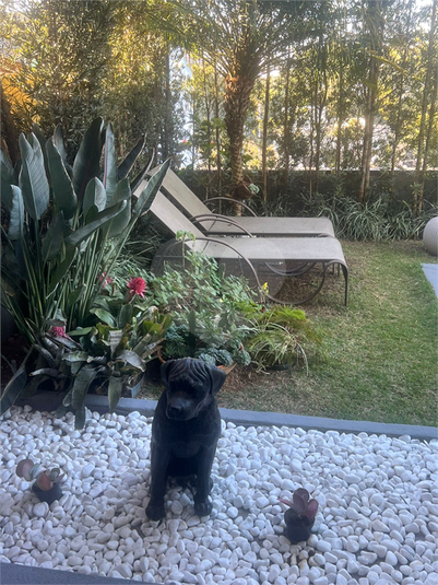 Foto REO1118225