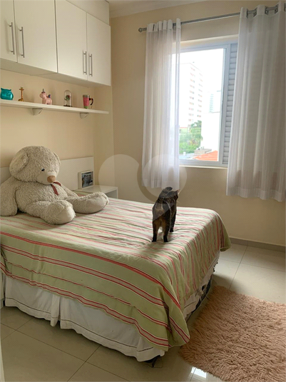 Foto REO1118232