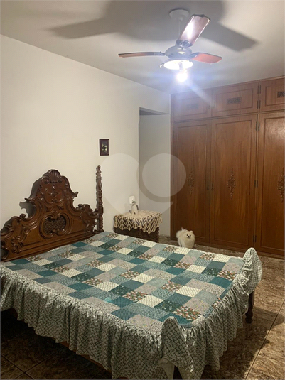 Foto REO1118238