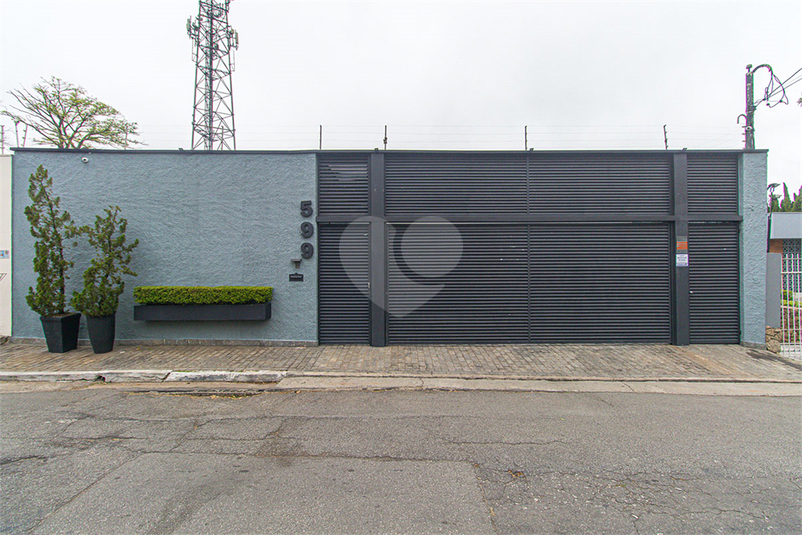 Foto REO1118240