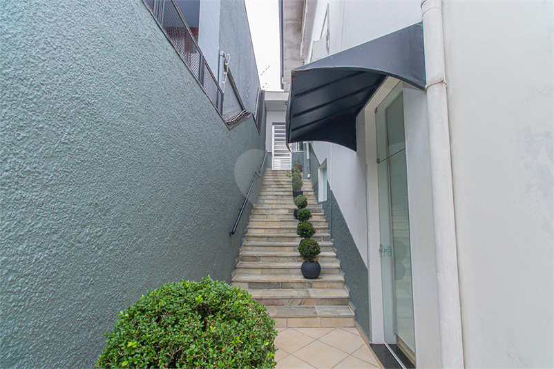 Foto REO1118240