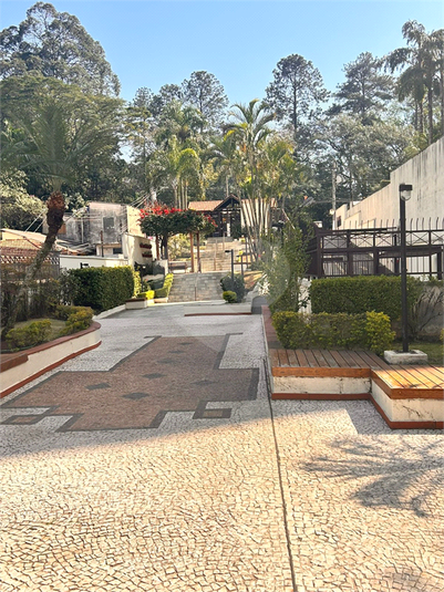 Foto REO1118253