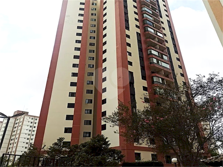 Foto REO1118267
