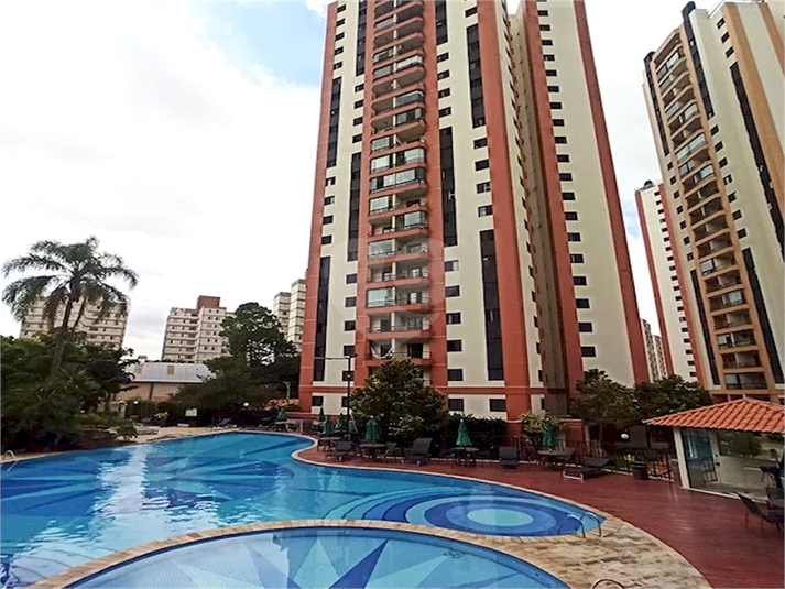 Foto REO1118267