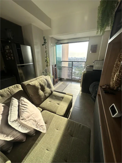 Foto REO1118269