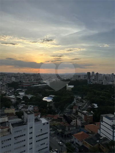 Foto REO1118269