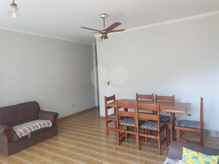 Foto REO1118271