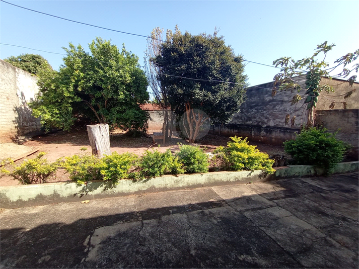 Foto REO1118282