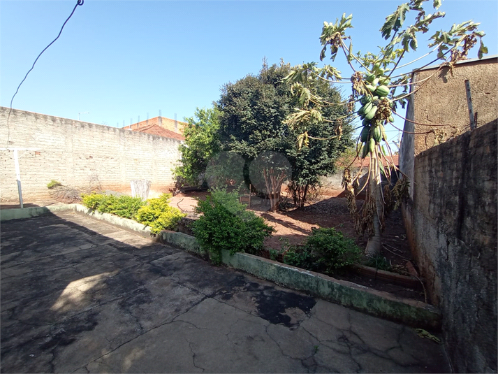 Foto REO1118282