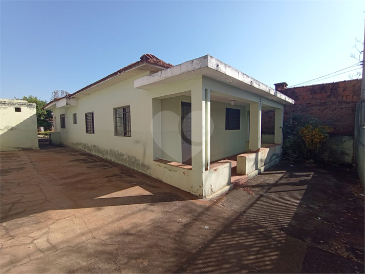 Foto REO1118282