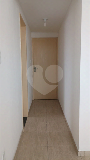 Foto REO1118289