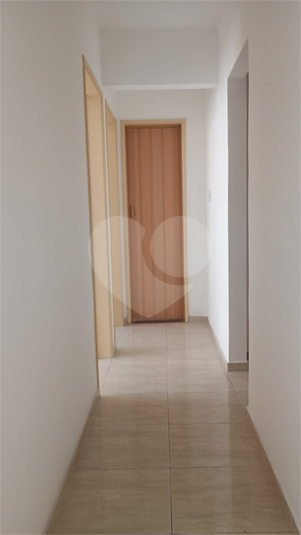 Foto REO1118289