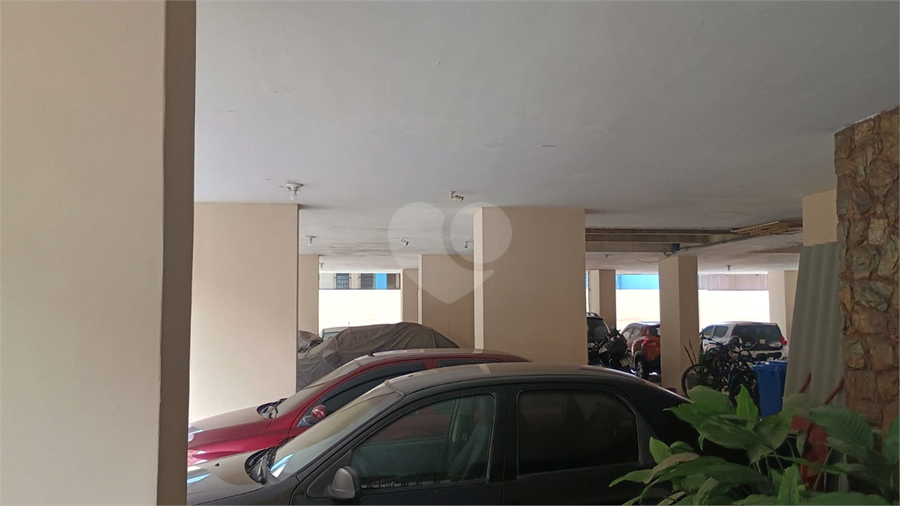 Foto REO1118289
