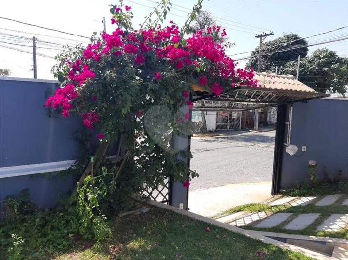 Foto REO1118290