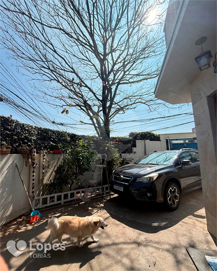 Foto REO1118300