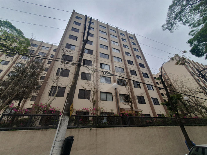 Foto REO1118311