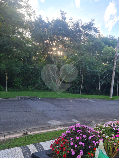 Foto REO1118318
