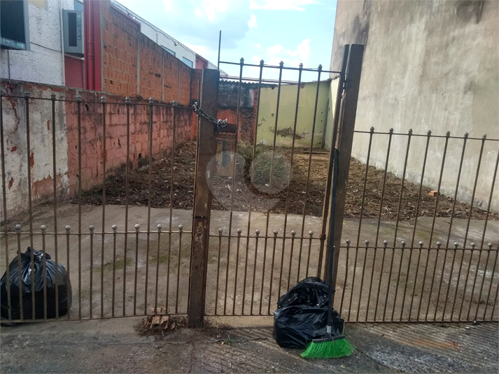 Foto REO1118326