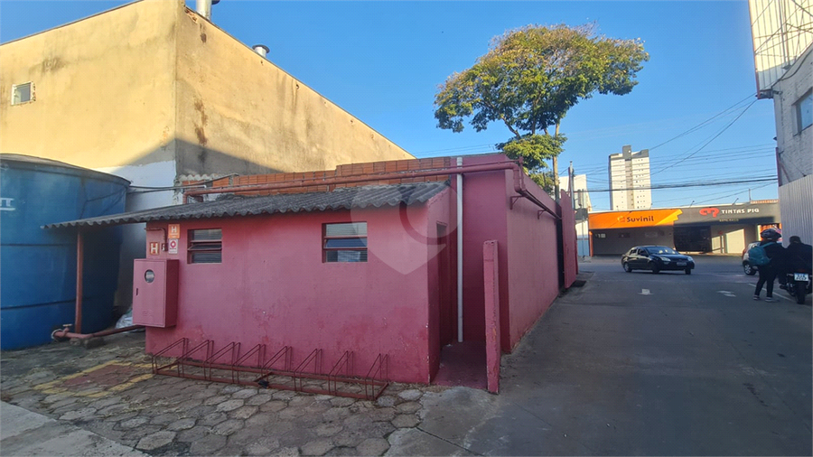 Foto REO1118326