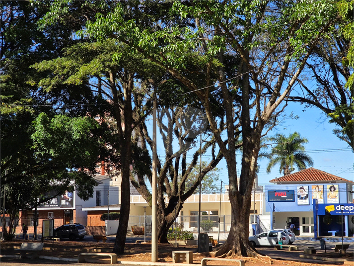 Foto REO1118332