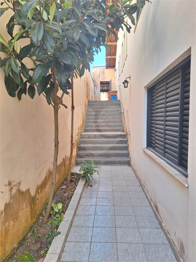 Foto REO1118334