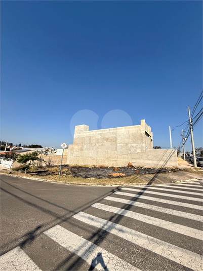 Foto REO1118348