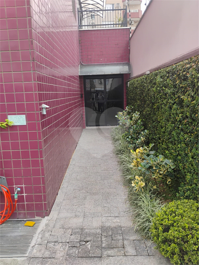 Foto REO1118349