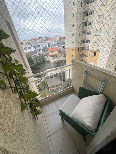 Foto REO1118350