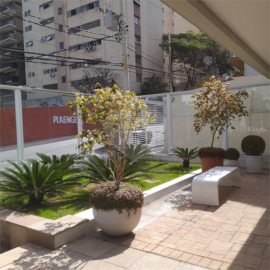 Foto REO1118362