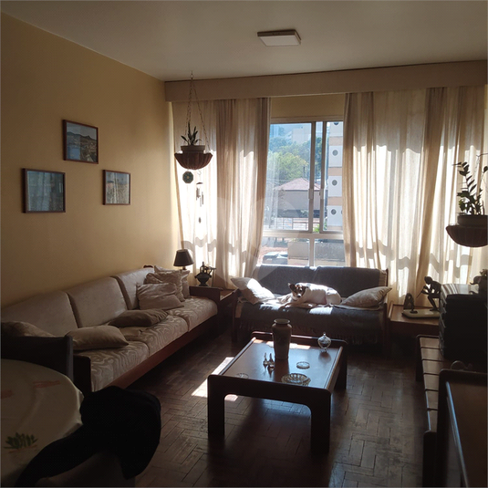 Foto REO1118362