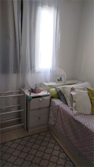 Foto REO1118366