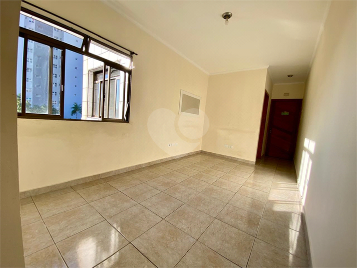 Foto REO1118374
