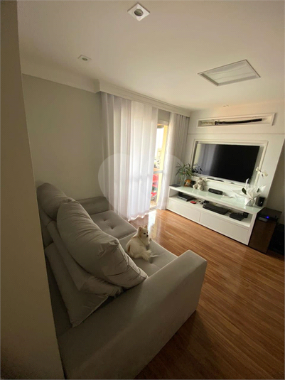Foto REO1118379