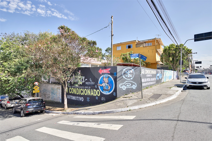 Foto REO1118392