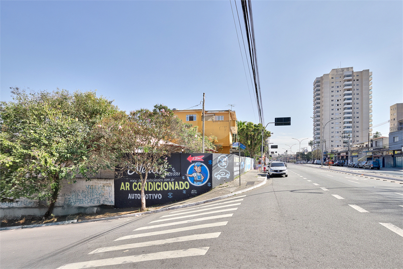 Foto REO1118392